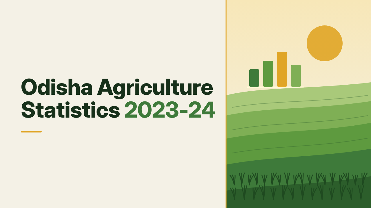 Odisha Agriculture Statistics 2023-24